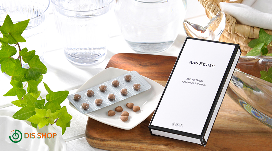 アンチストレス 慰霊の旅が地震で・・・